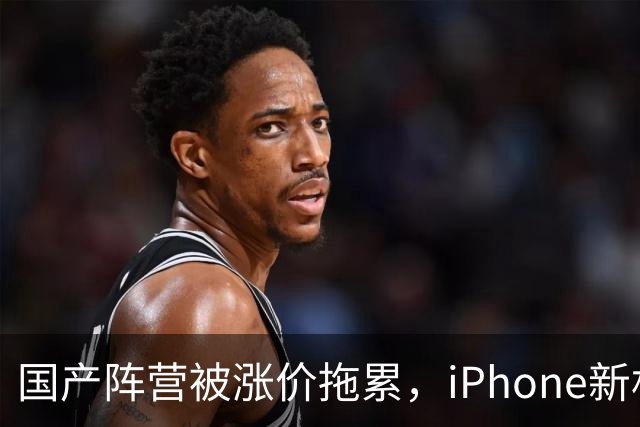 国产阵营被涨价拖累，iPhone新机中国销量增长29%