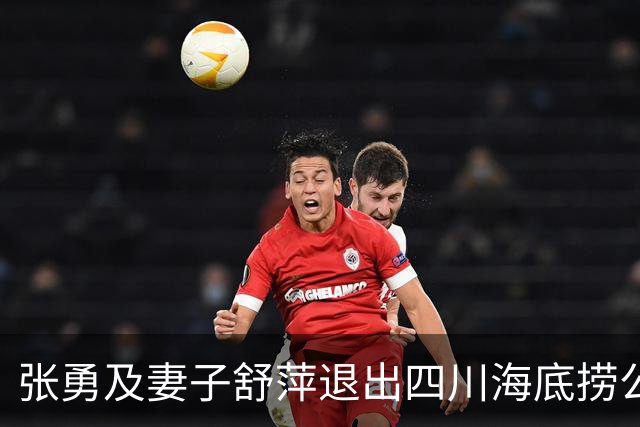 张勇及妻子舒萍退出四川海底捞公司董事会，控制权未变