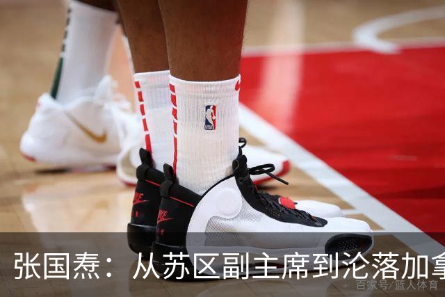 张国焘:从苏区副主席到沦落加拿大,拒绝认错让其终身未回归大陆